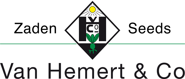 Van Hemert & Co